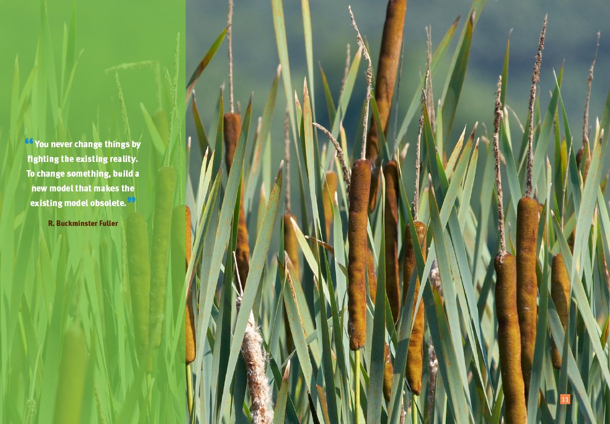 Be Green Brochure-8